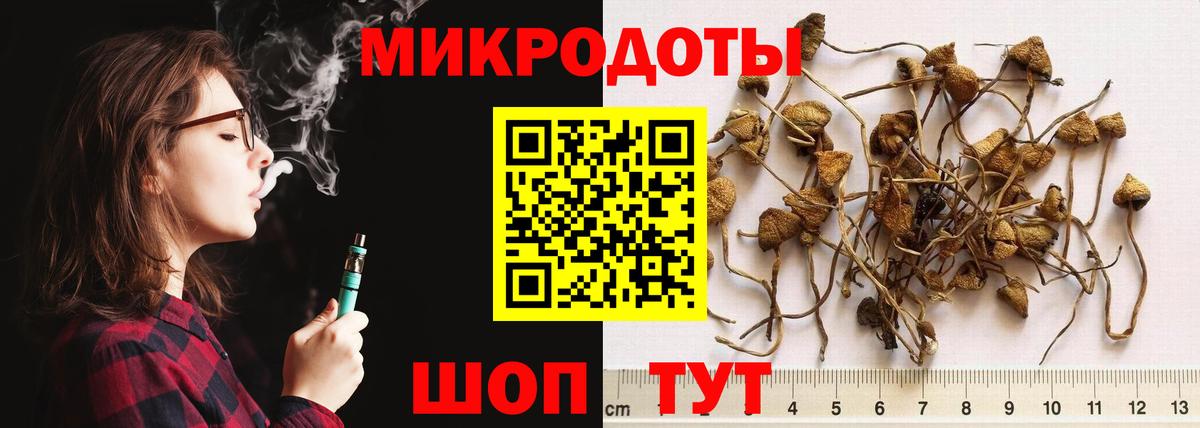Минеральные Воды  Галлюциногенные грибы прущие грибы  Вход с VPN 